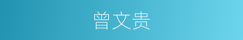 曾文贵的同义词