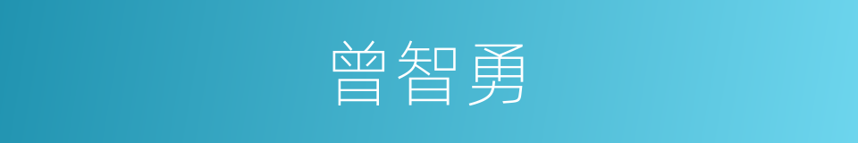 曾智勇的同义词