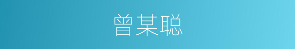 曾某聪的同义词