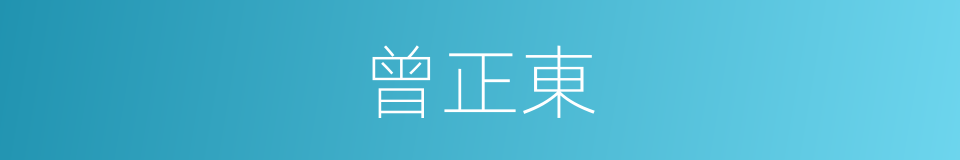 曾正東的同義詞