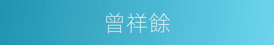 曾祥餘的同義詞