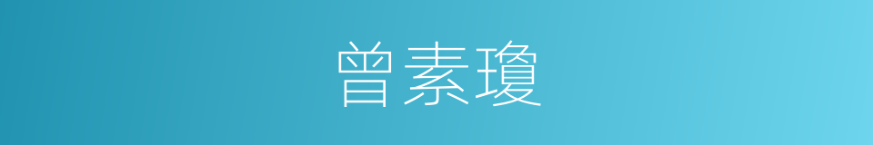 曾素瓊的同義詞