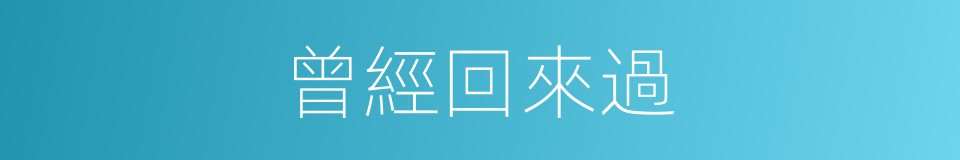 曾經回來過的同義詞