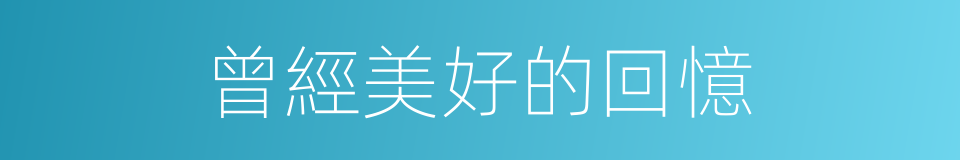 曾經美好的回憶的同義詞