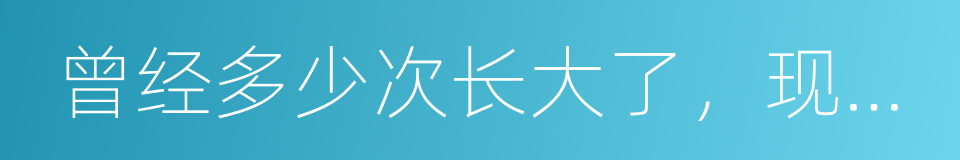 曾经多少次长大了，现在多少次变老了的同义词