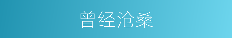 曾经沧桑的意思