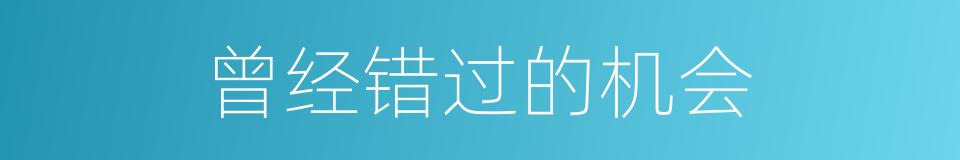 曾经错过的机会的同义词