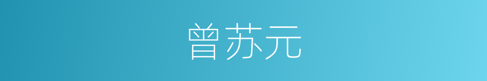 曾苏元的同义词