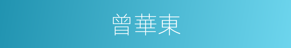 曾華東的同義詞