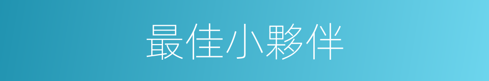 最佳小夥伴的同義詞