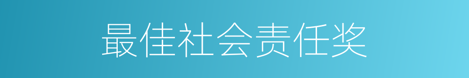 最佳社会责任奖的同义词