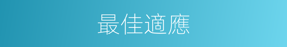 最佳適應的同義詞