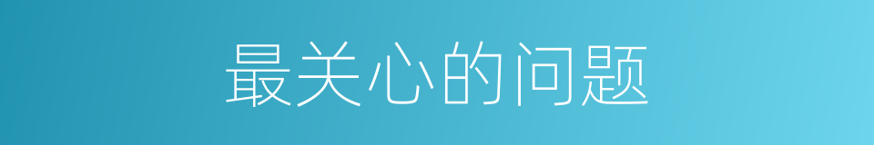 最关心的问题的同义词