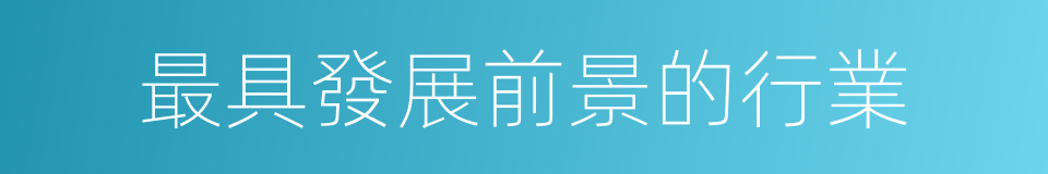 最具發展前景的行業的同義詞