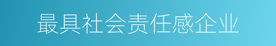 最具社会责任感企业的同义词