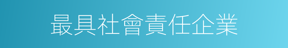 最具社會責任企業的同義詞