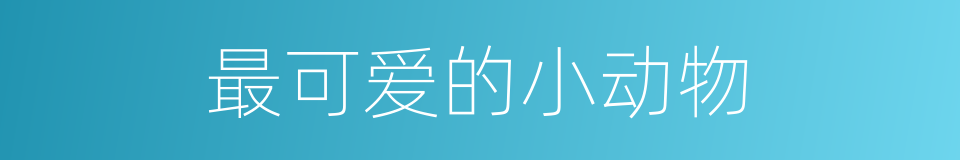 最可爱的小动物的同义词