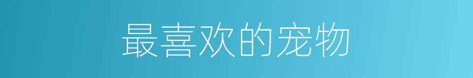 最喜欢的宠物的同义词