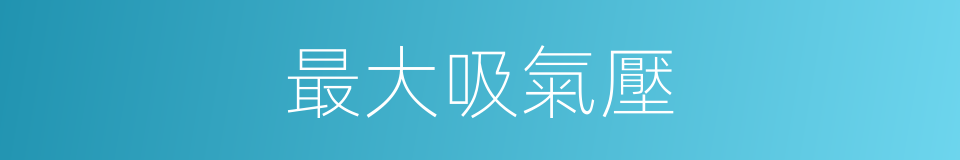 最大吸氣壓的同義詞