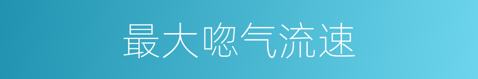 最大唿气流速的同義詞