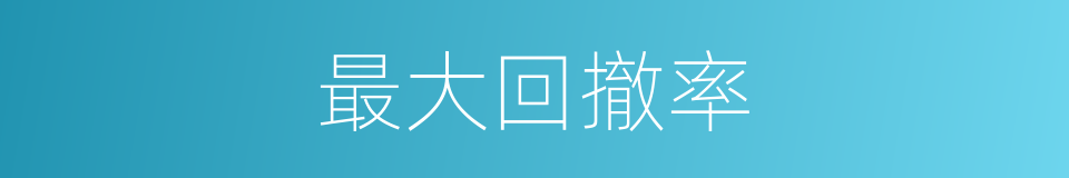 最大回撤率的同义词