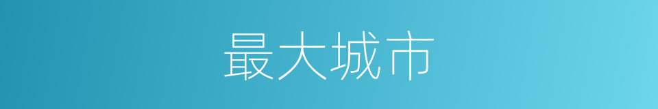 最大城市的意思