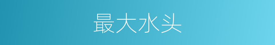 最大水头的同义词
