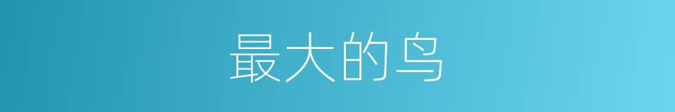 最大的鸟的同义词