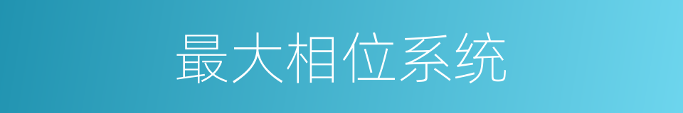 最大相位系统的同义词