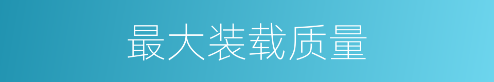 最大装载质量的同义词