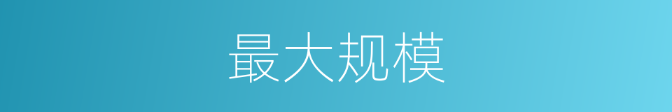 最大规模的意思