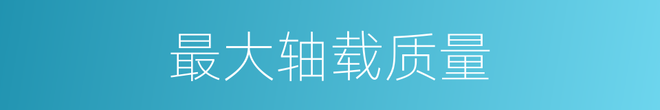 最大轴载质量的同义词