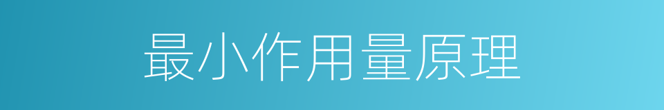 最小作用量原理的同义词