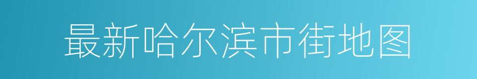 最新哈尔滨市街地图的同义词