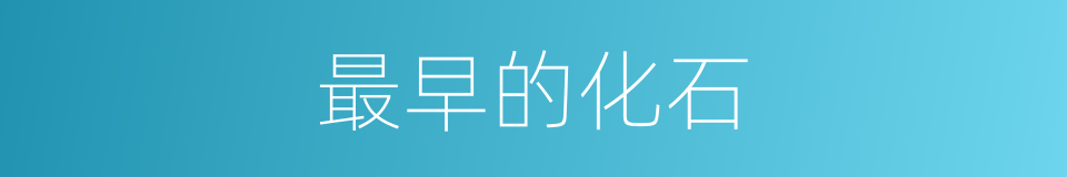 最早的化石的同义词