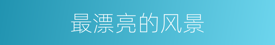 最漂亮的风景的同义词