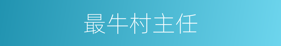 最牛村主任的同义词