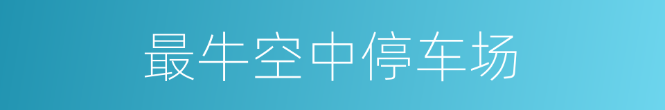 最牛空中停车场的同义词