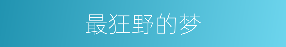 最狂野的梦的同义词