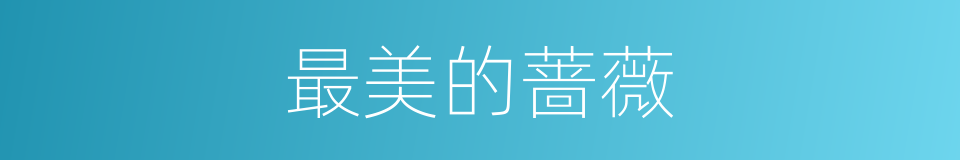 最美的蔷薇的同义词