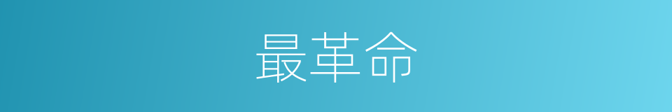 最革命的意思