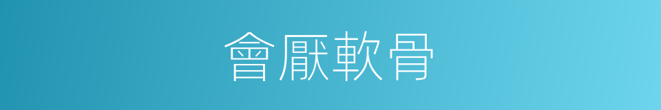 會厭軟骨的意思