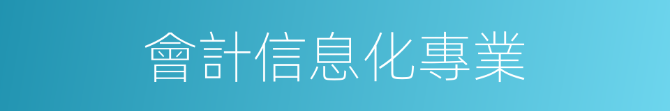 會計信息化專業的同義詞