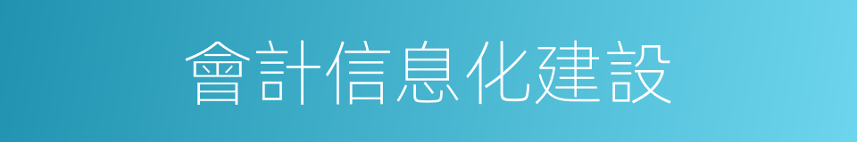 會計信息化建設的同義詞