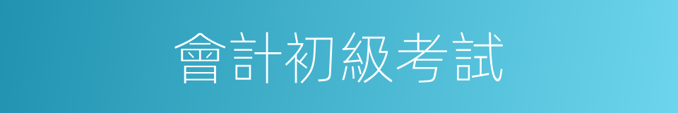 會計初級考試的同義詞