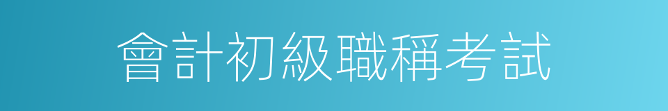 會計初級職稱考試的同義詞