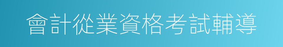 會計從業資格考試輔導的同義詞