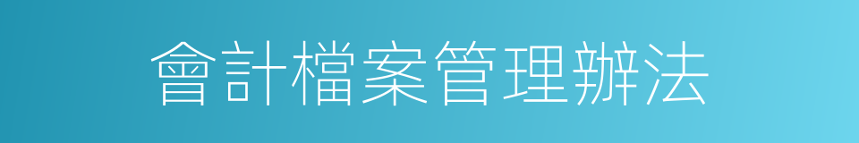 會計檔案管理辦法的同義詞