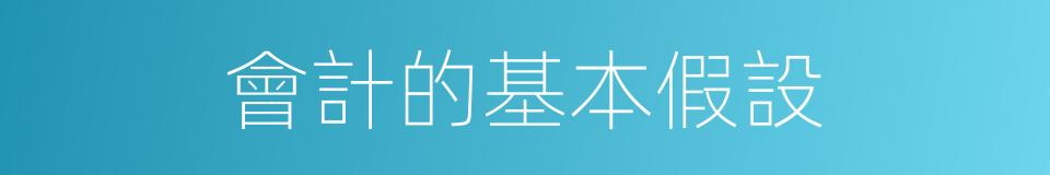 會計的基本假設的同義詞