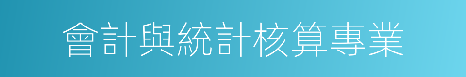 會計與統計核算專業的同義詞